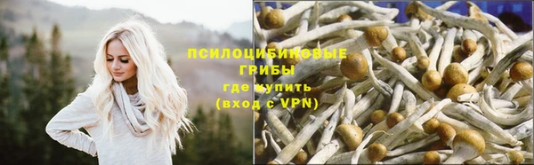 первитин Богородицк