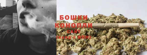 прущие крисы Богданович