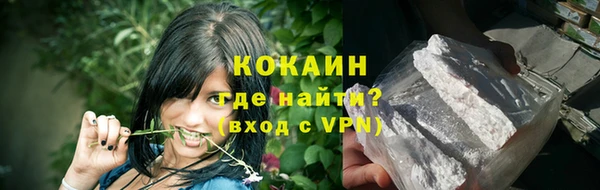 индика Богородск