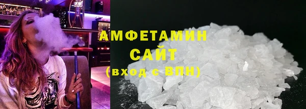индика Богородск