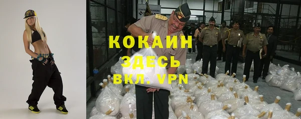 первитин Богородицк