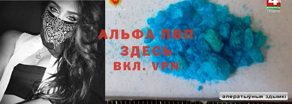 индика Богородск