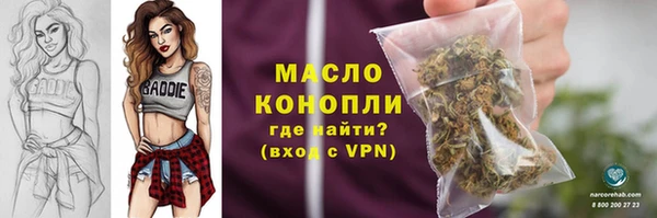 первитин Богородицк