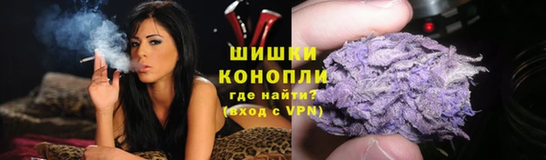 индика Богородск
