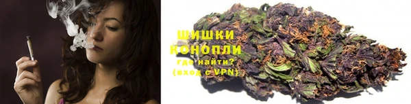 индика Богородск