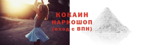 индика Богородск