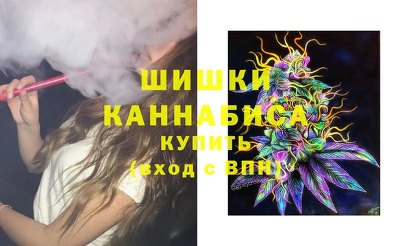 индика Богородск