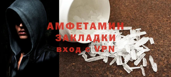 индика Богородск