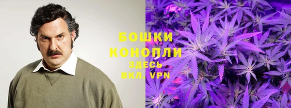 прущие крисы Богданович